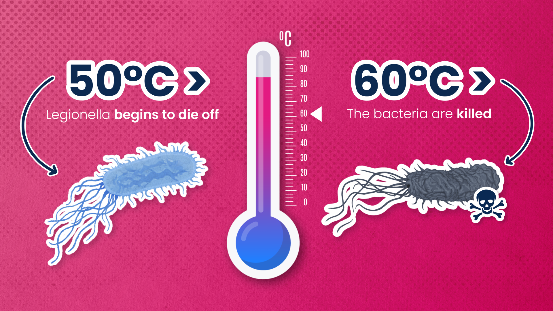 Legionella Awareness